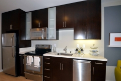 819 203 Kitchen 2