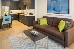 studio-living-room-and-kitchen